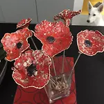 Coquelicot Pensionat