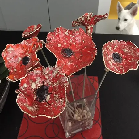 Coquelicot Pensión