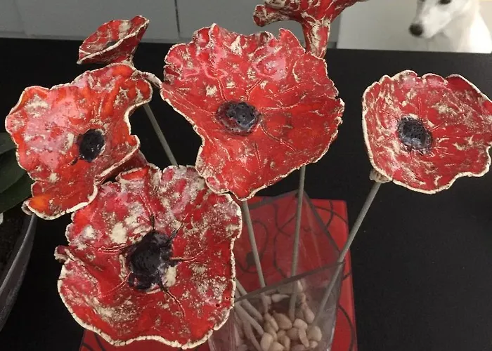 Coquelicot Maison d'hôtes