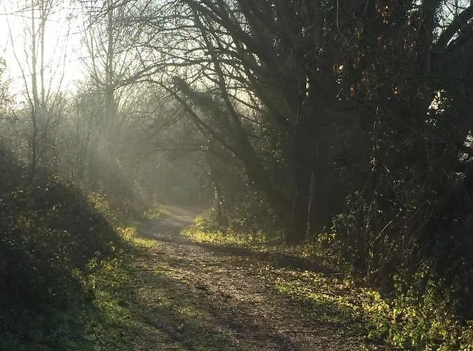 Coquelicot Maison d'hôtes