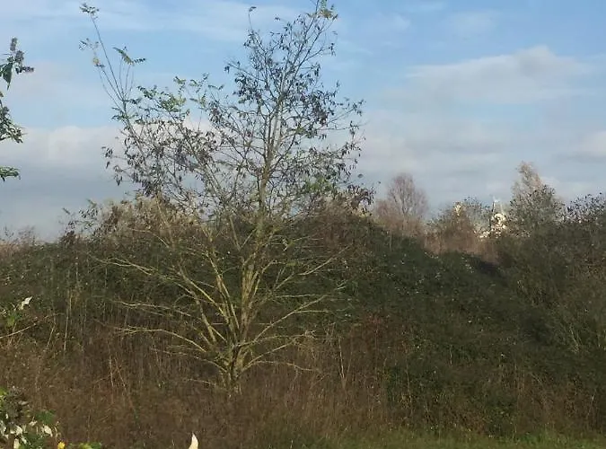 Maison d'hôtes Coquelicot 3*