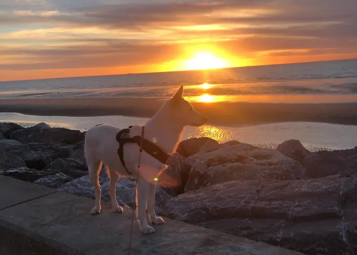 Coquelicot Maison d'hôtes 3*